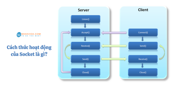 Socket là gì? [TOP 3+] Socket phổ biến nhất 2022 - Blog Nhân Hòa